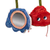 Spiral of activities