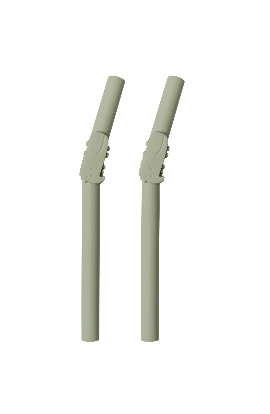 Born To Be Wild Kids Straw 2pk