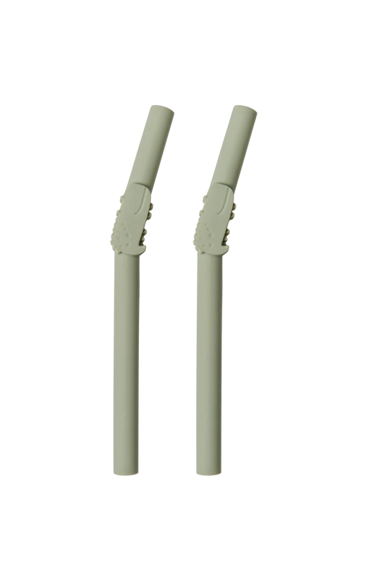 Born To Be Wild Kids Straw 2pk