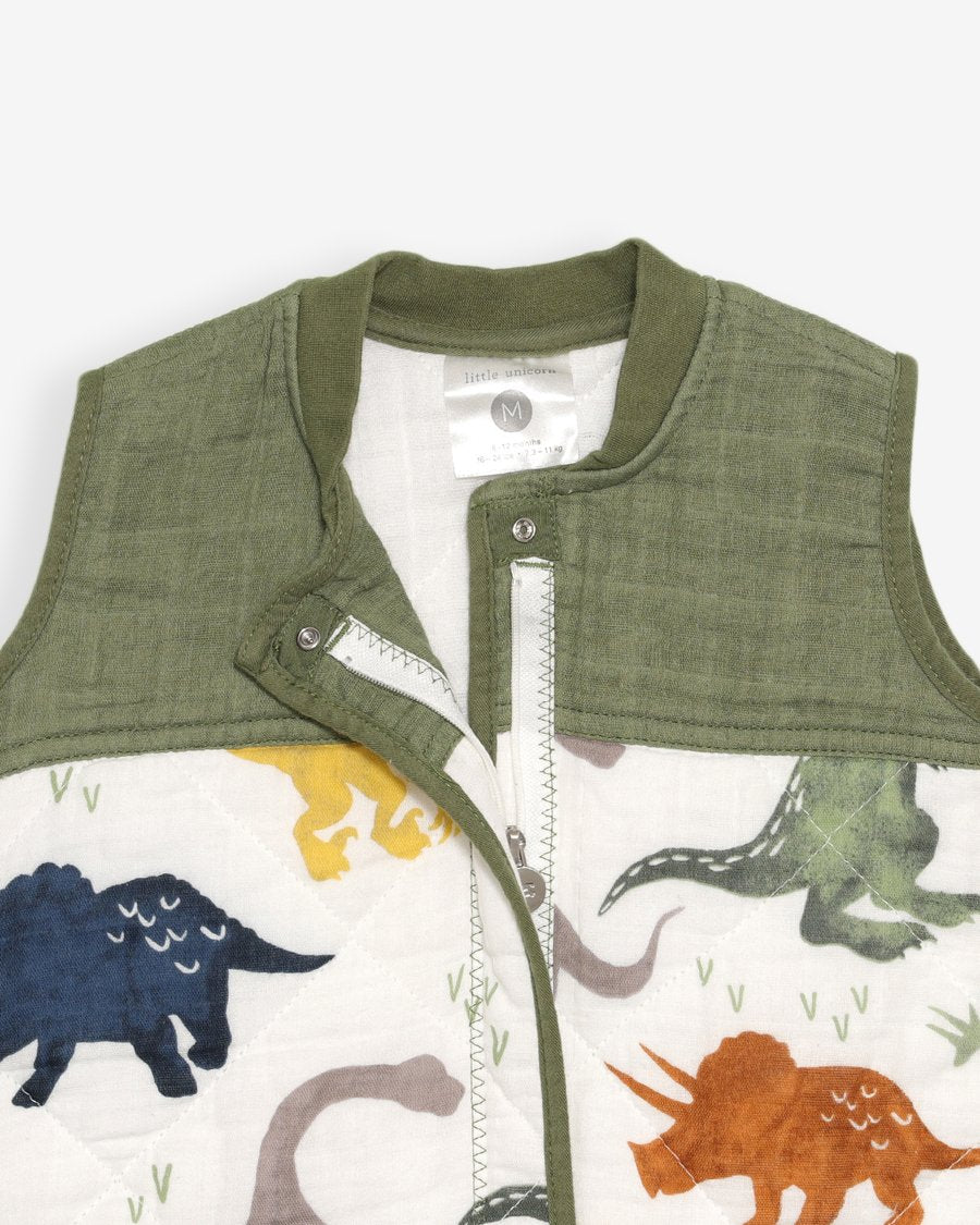 Cotton Muslin Quilted Sleep Bag Dino Friends