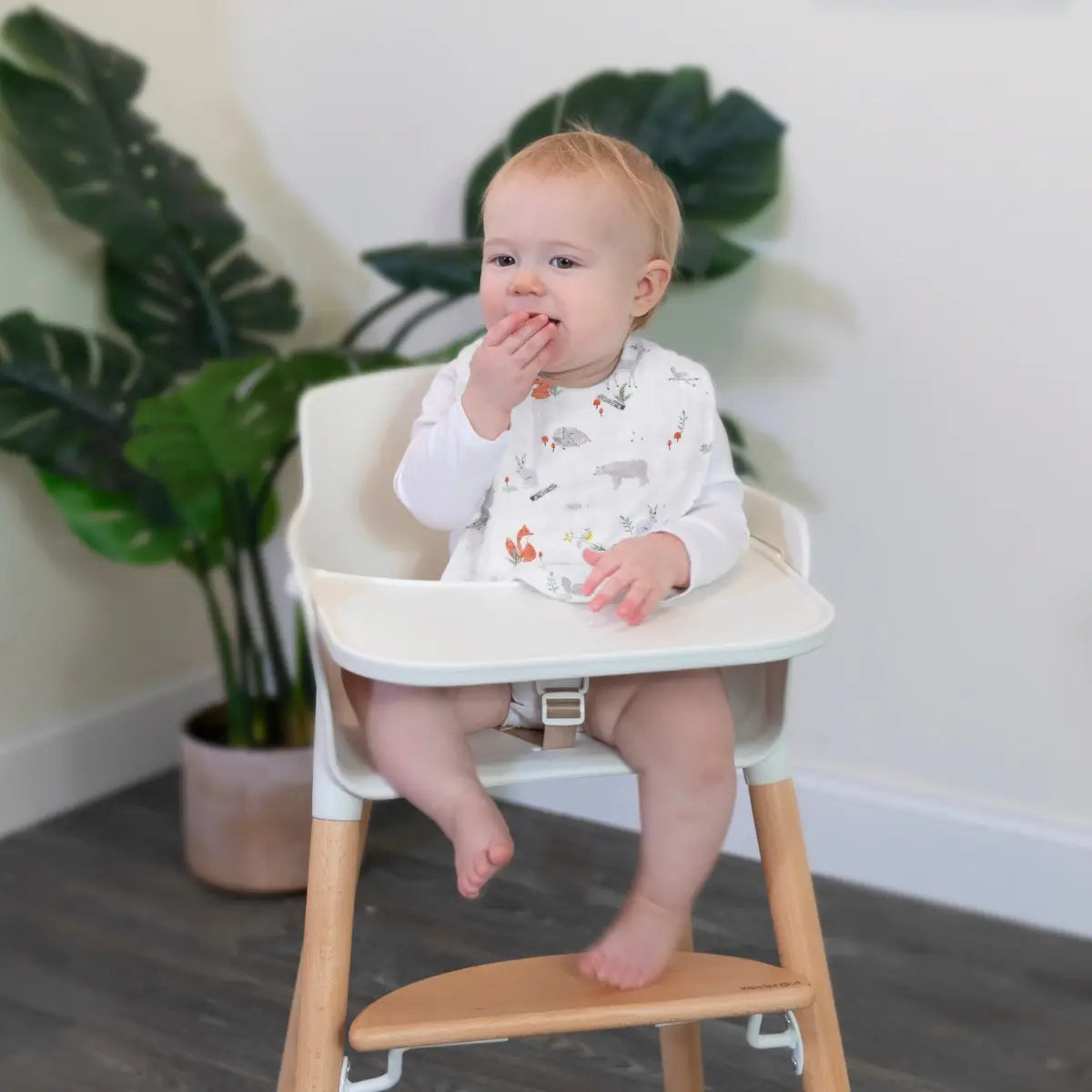 Cotton Muslin Snap Bibs 3pk