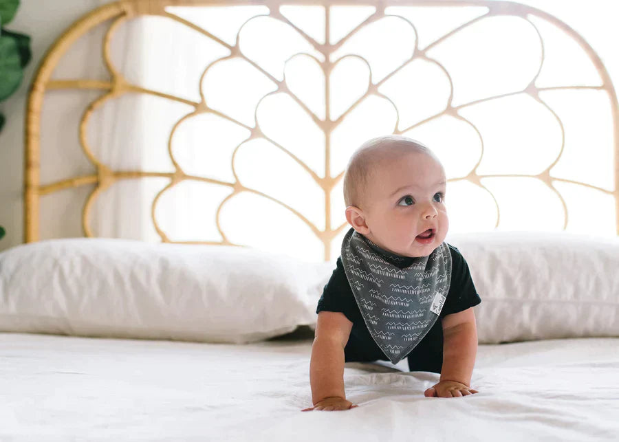 Bandana Bib 4 Pk