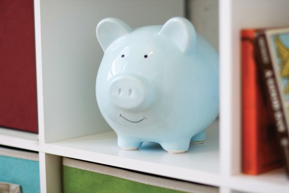 Ceramic Piggy Bank