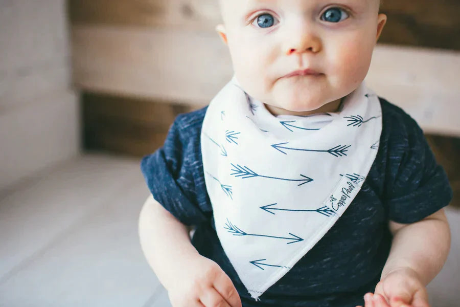 Bandana Bib 4 Pk