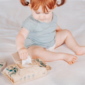 Terra Baby Wipes 70 Pk