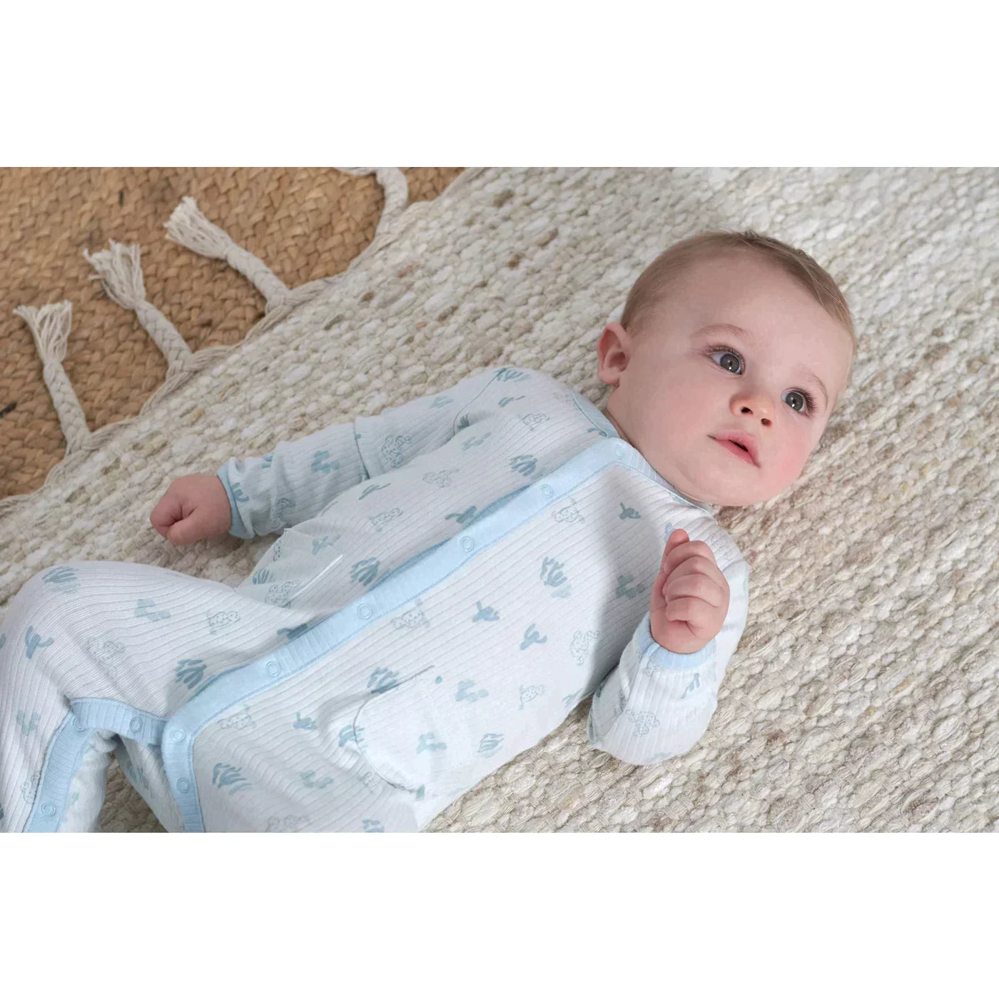 Just Born Desert Cactus Sleep N Play