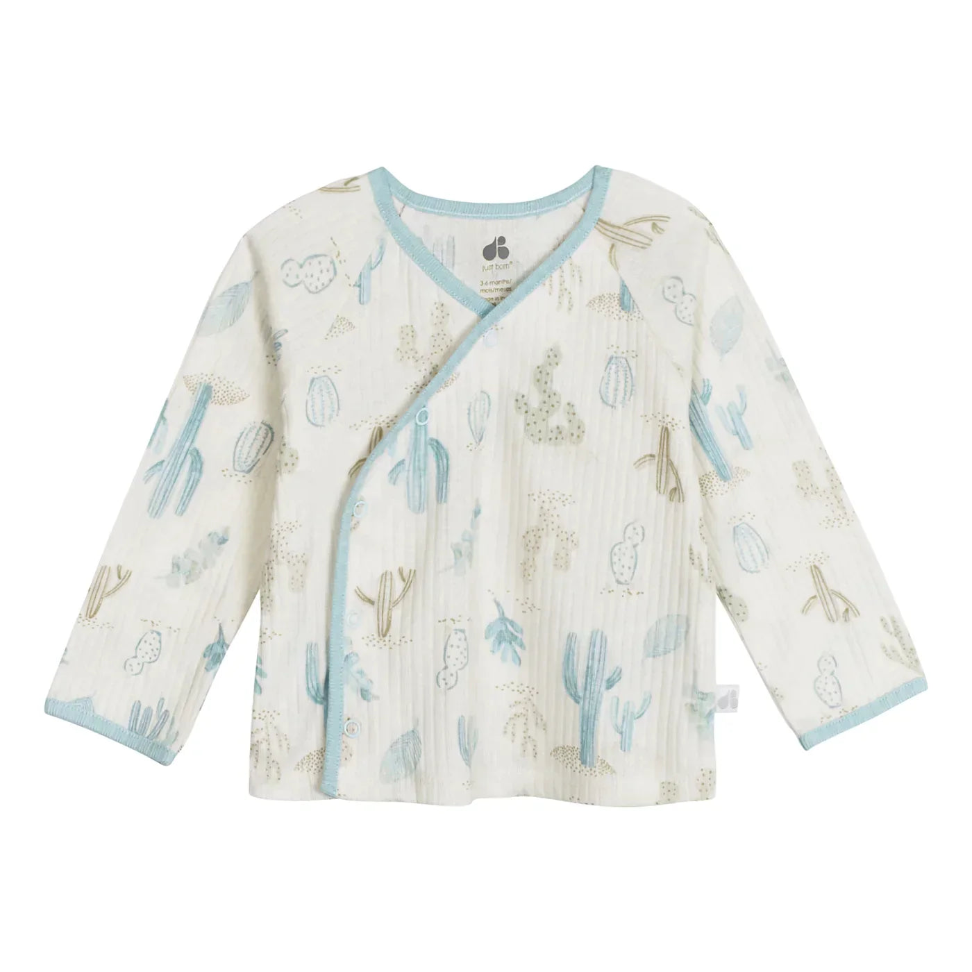 Take Me Home Desert Cactus Set 2pc