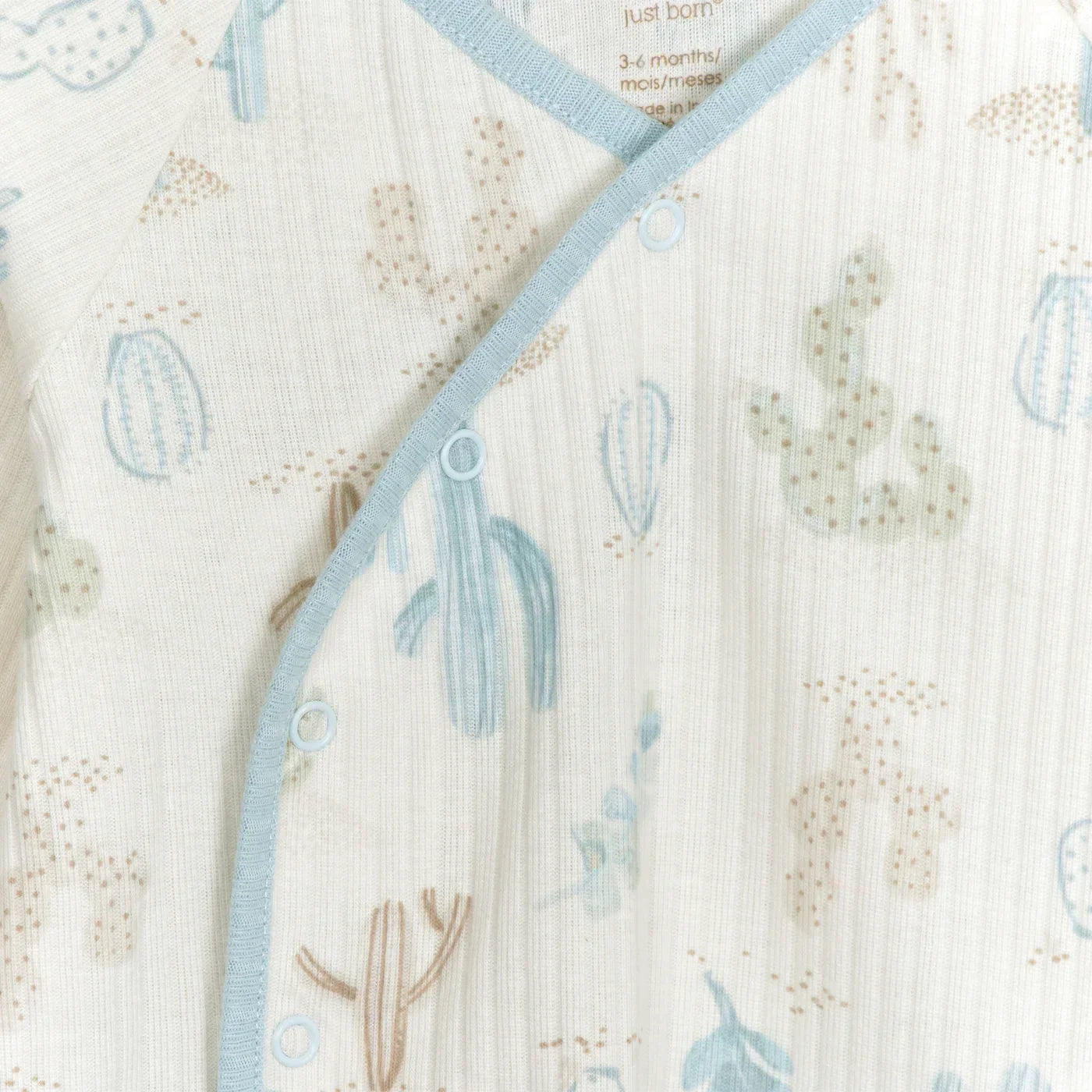 Take Me Home Desert Cactus Set 2pc