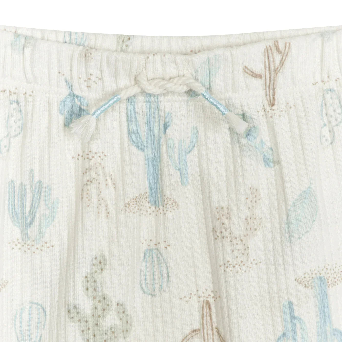 Take Me Home Desert Cactus Set 2pc