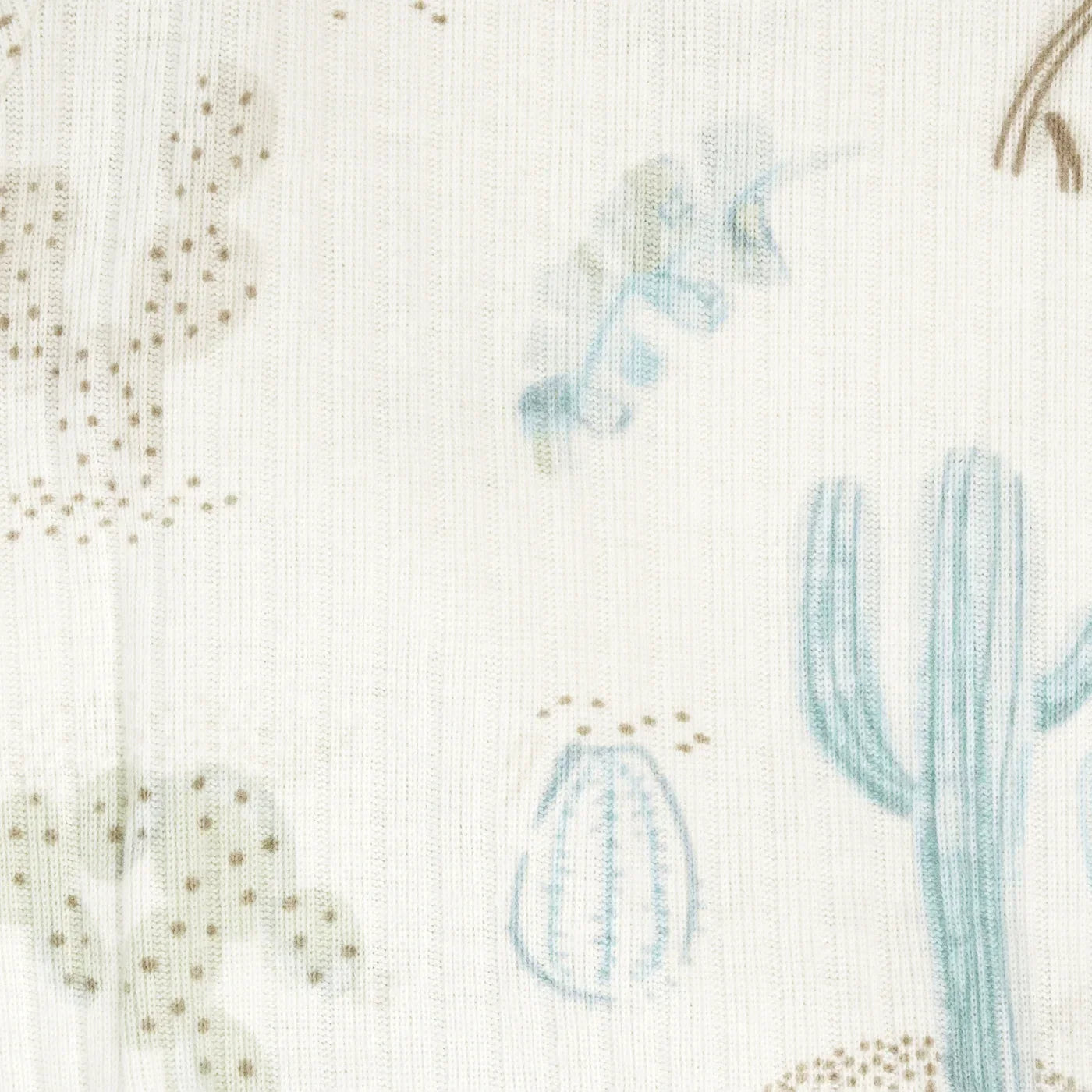 Take Me Home Desert Cactus Set 2pc