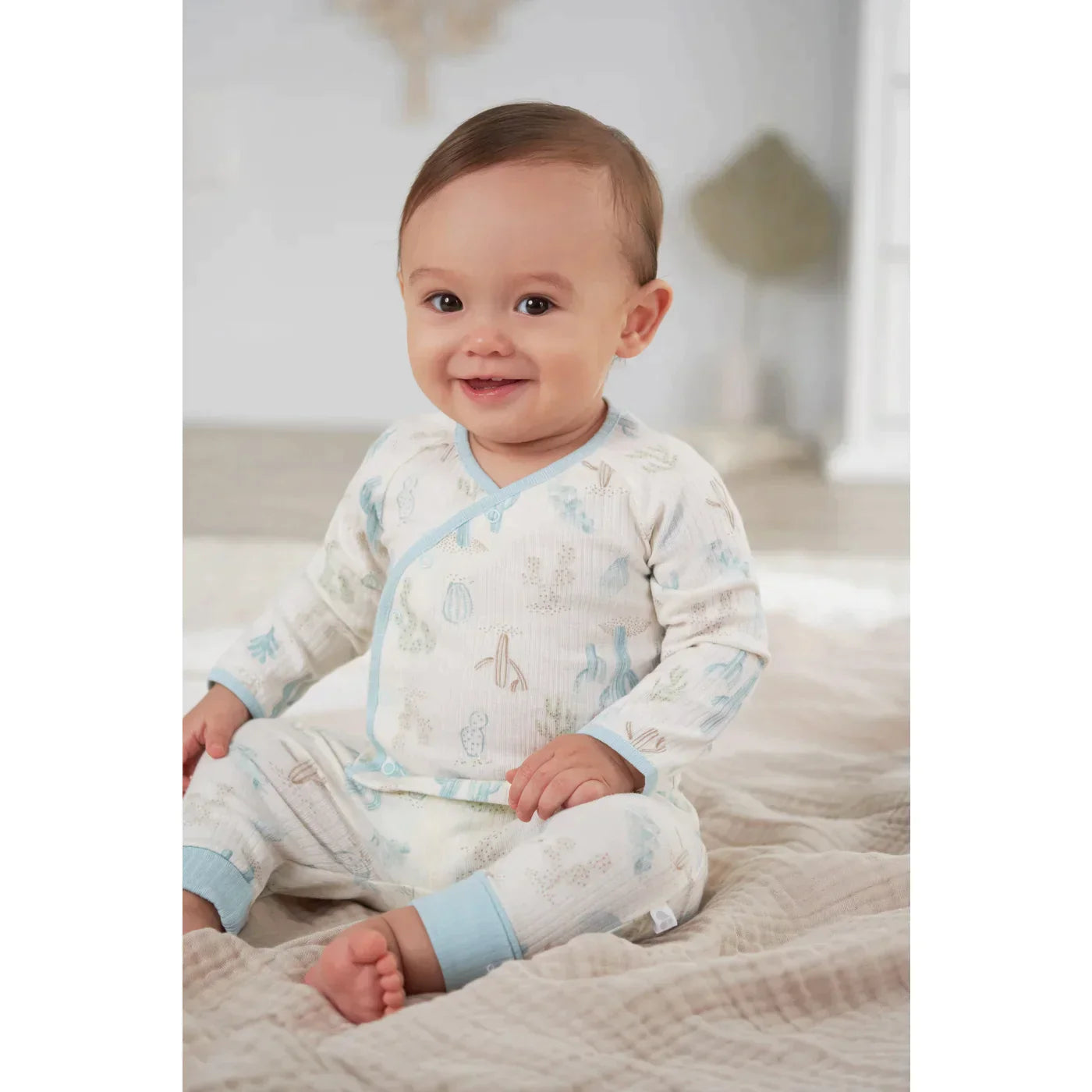 Take Me Home Desert Cactus Set 2pc