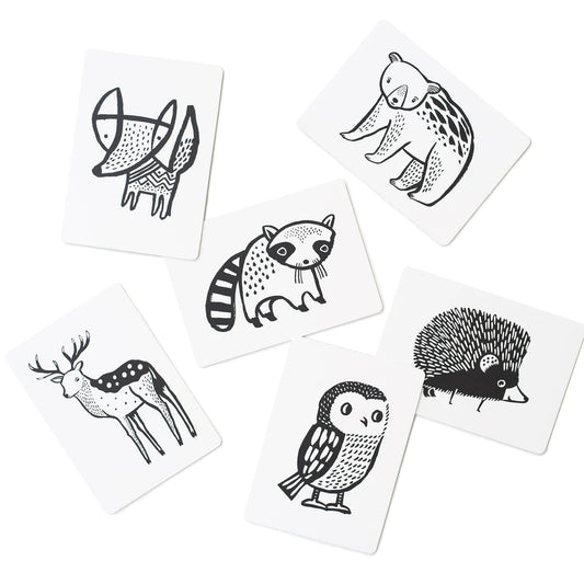 Art Cards - Woodland Collection