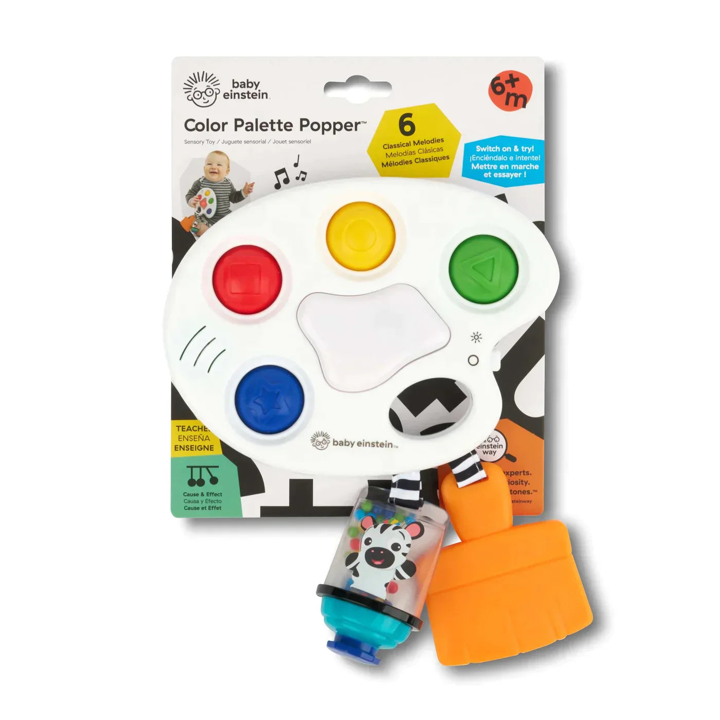 Color Palette Popper Sensory Toy