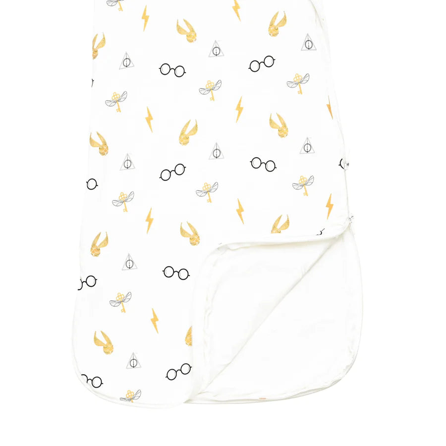 Sleep Bag Icon 1 Tog