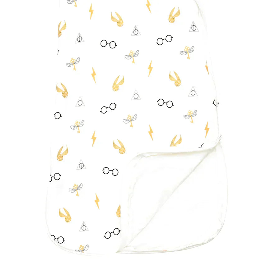 Sleep Bag Icon 1 Tog