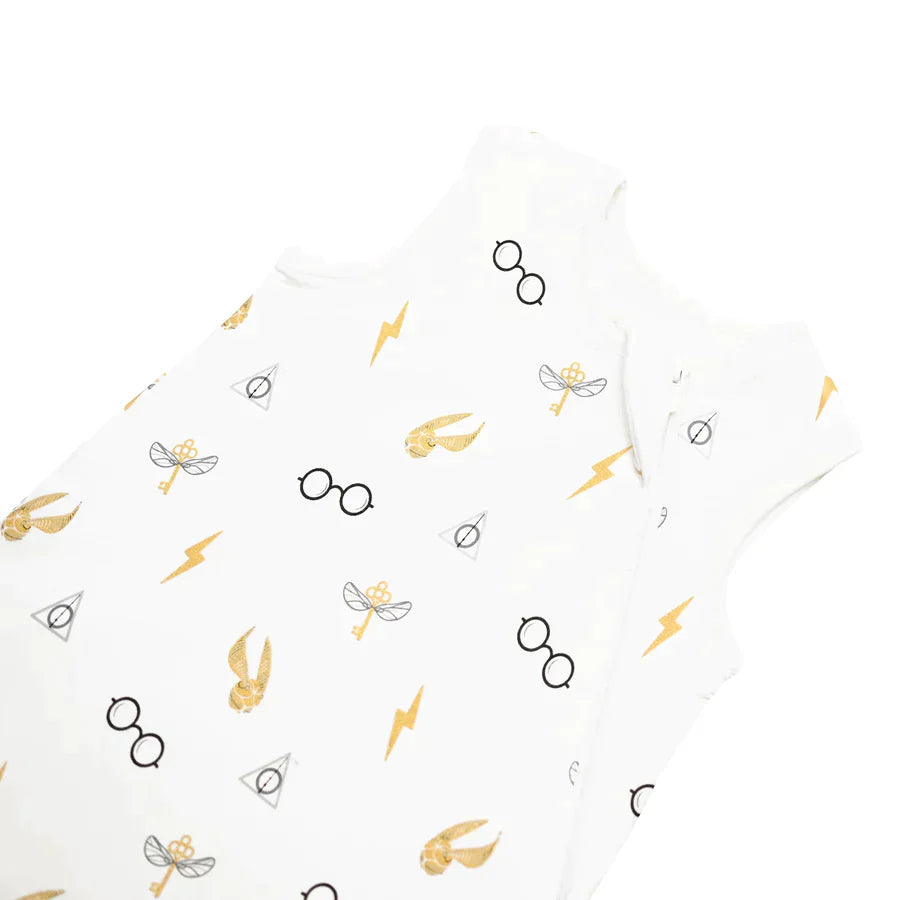 Sleep Bag Icon 1 Tog