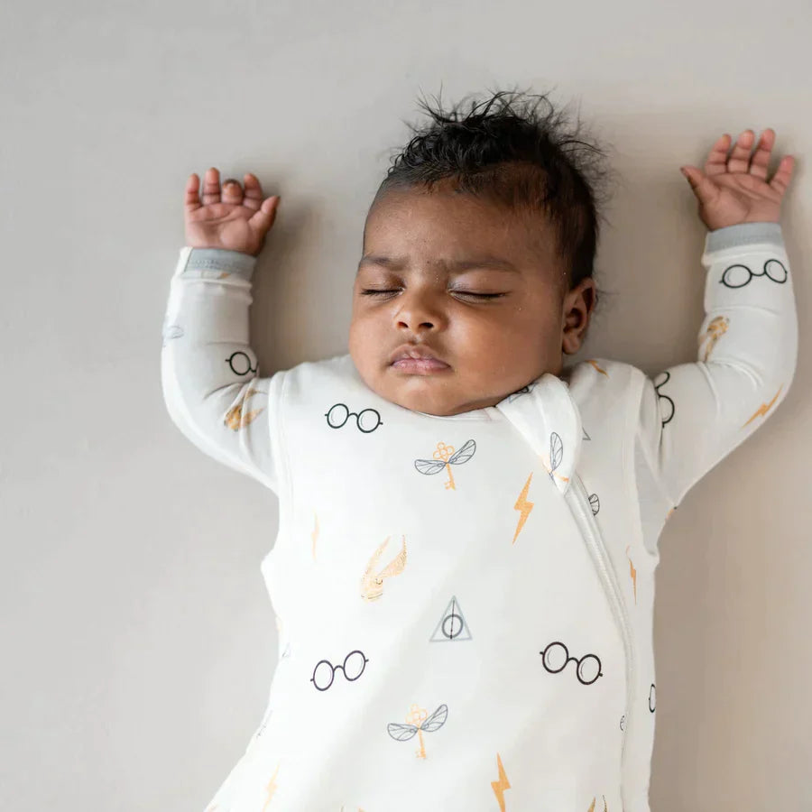 Sleep Bag Icon 1 Tog