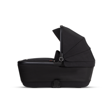Reef Bassinet