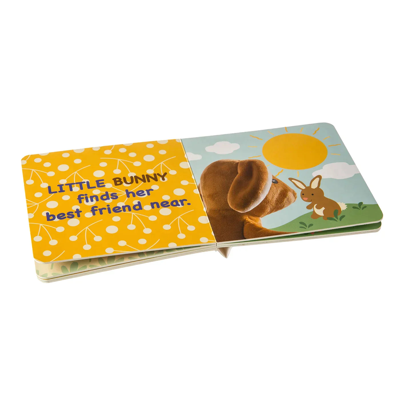 Little Bunny Book