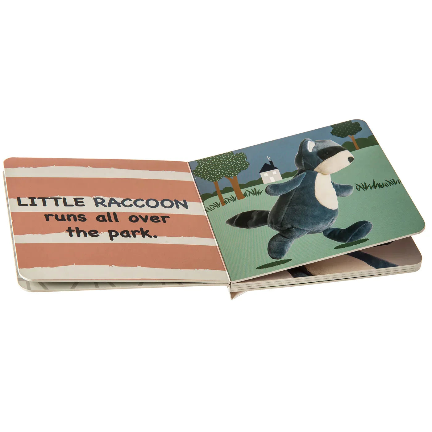 Little Raccoon Book