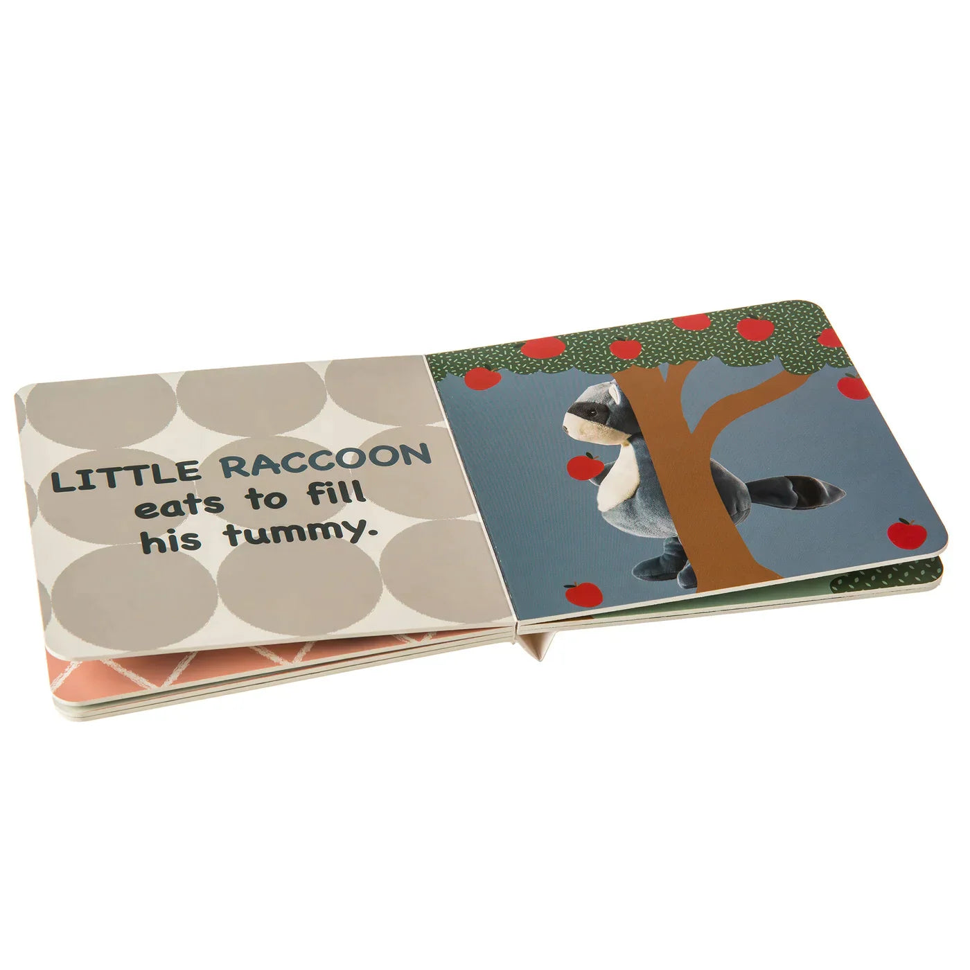 Little Raccoon Book