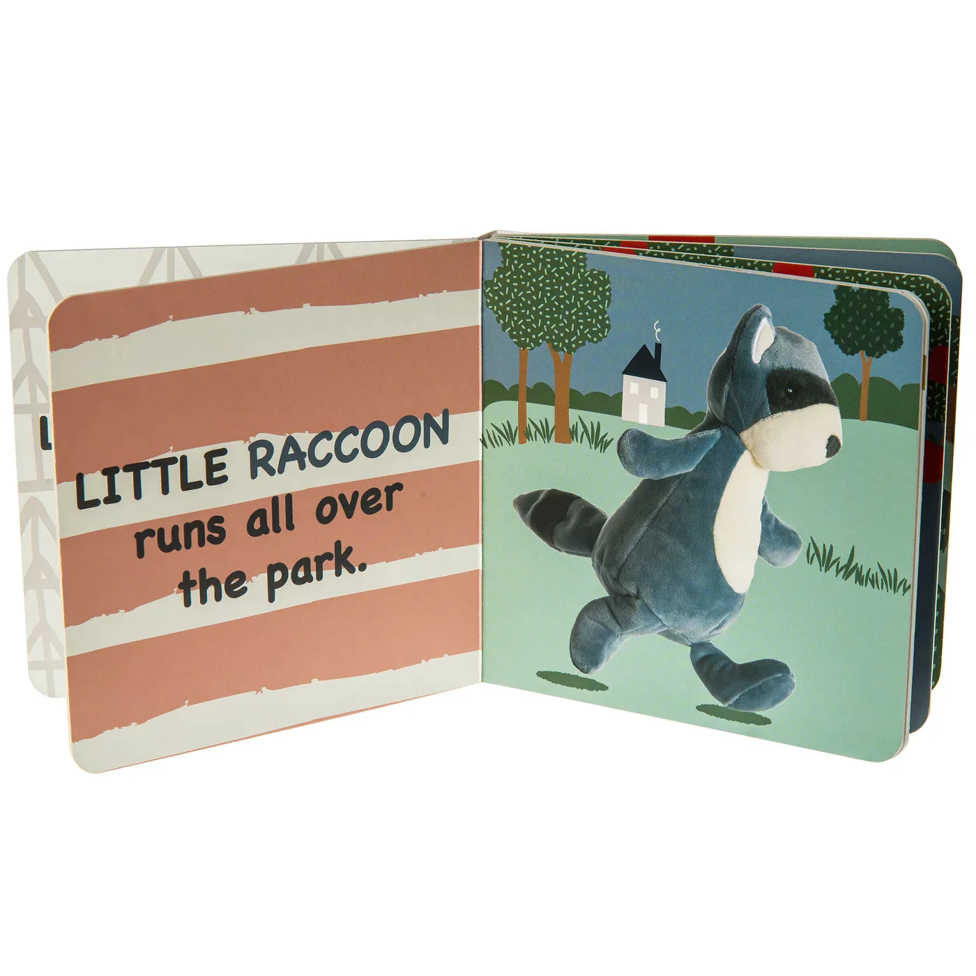 Little Raccoon Book