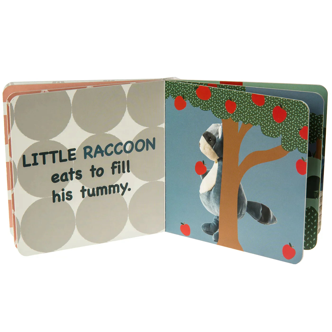 Little Raccoon Book