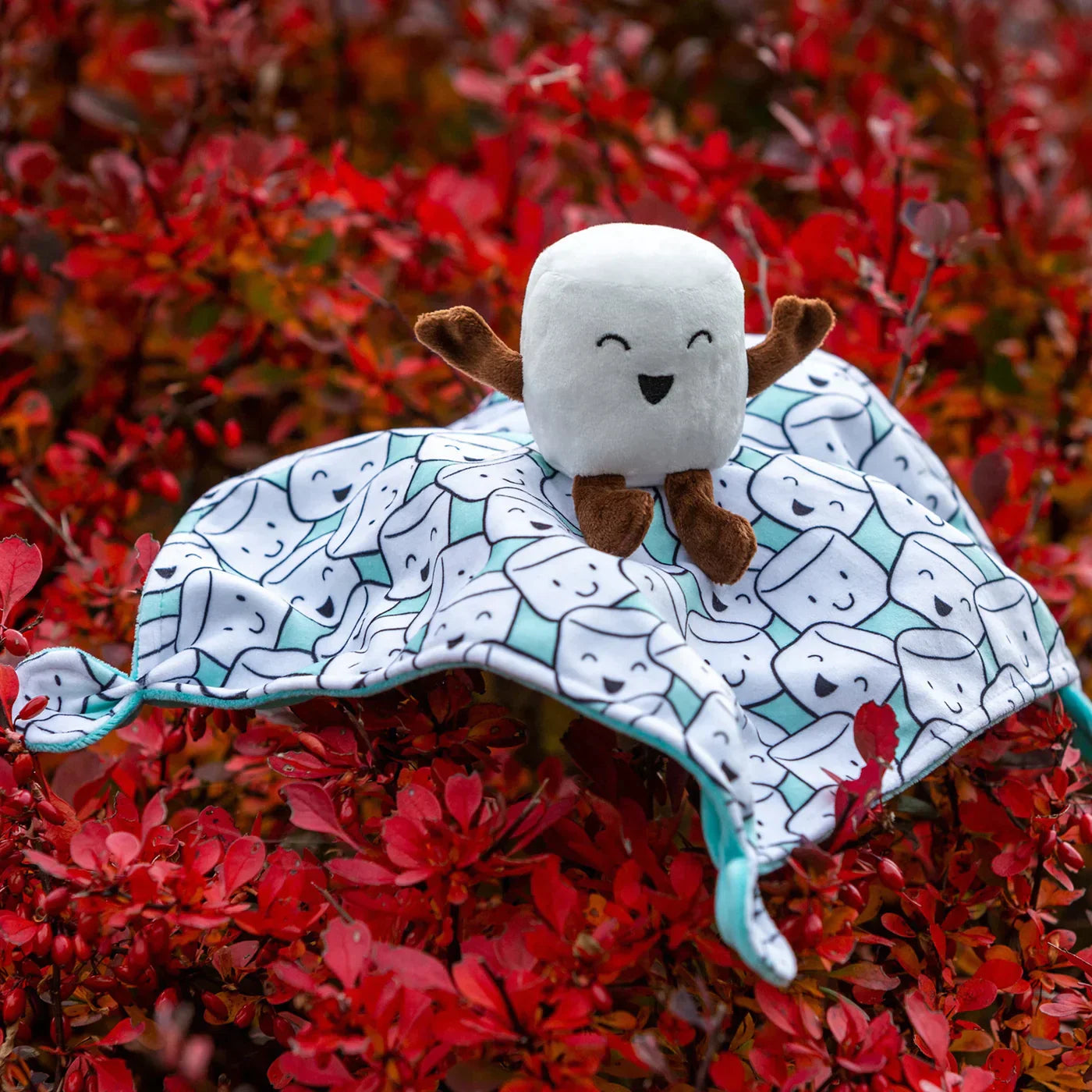 Sweet Soothie Blanket