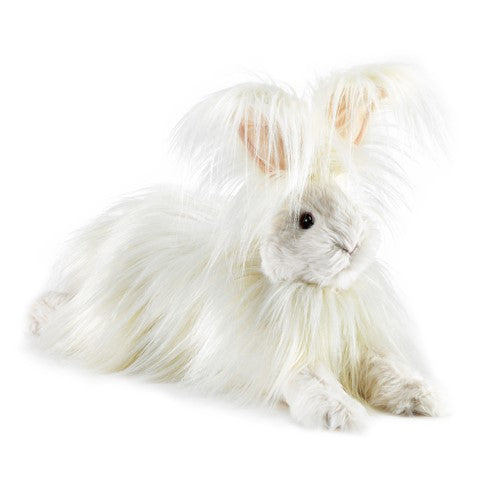 Angora Rabbit