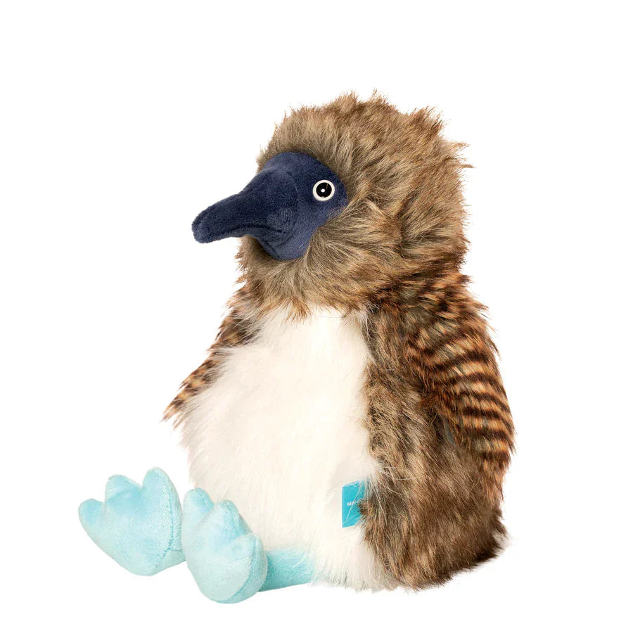 Benny The Blue Footed Boobie
