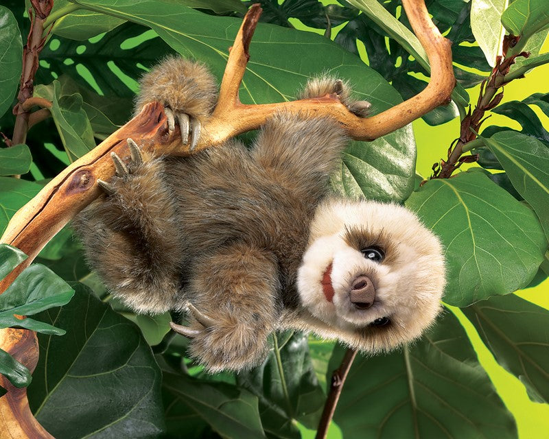 Sloth