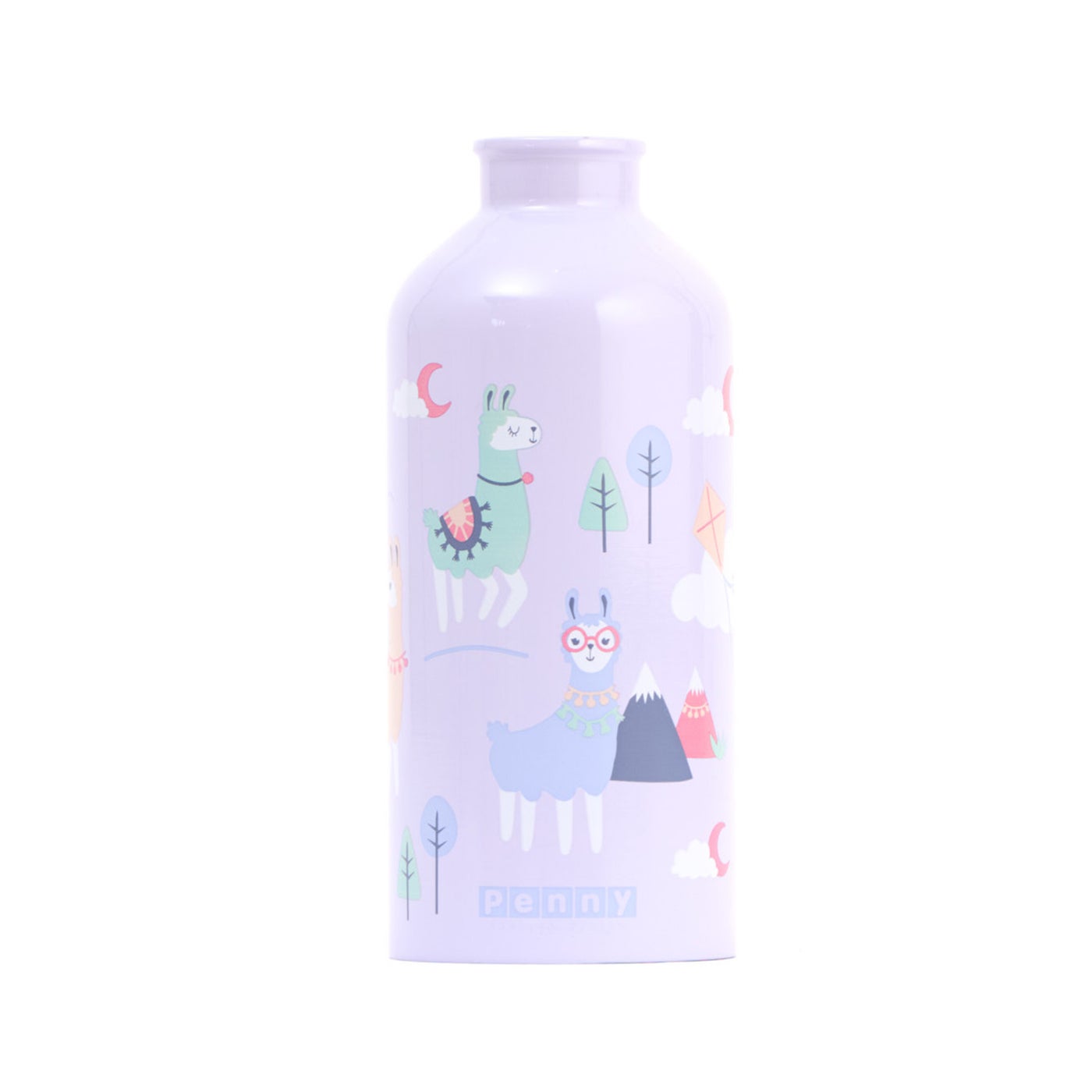 Stainless Steel Drink Bottle