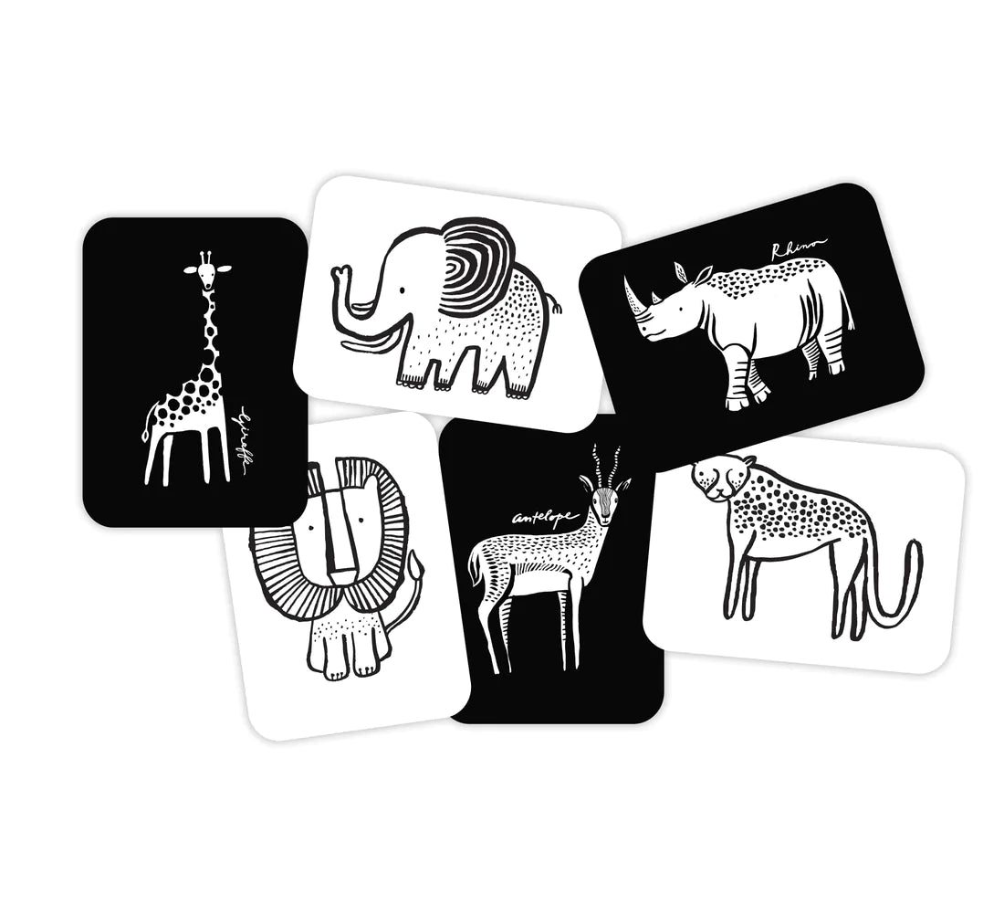 Art Cards - Safari Collection