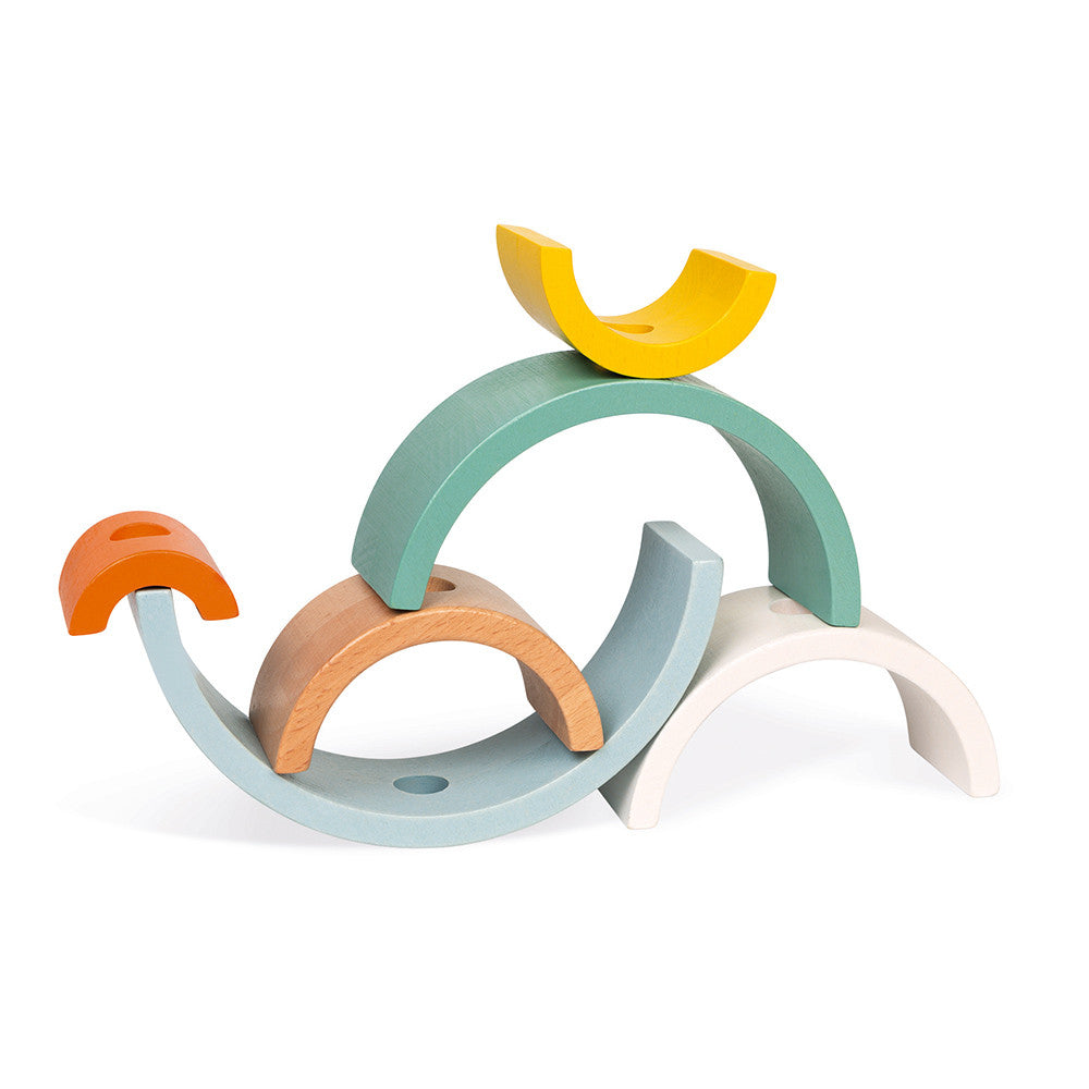 Sweet Cocoom Rainbow Turtle