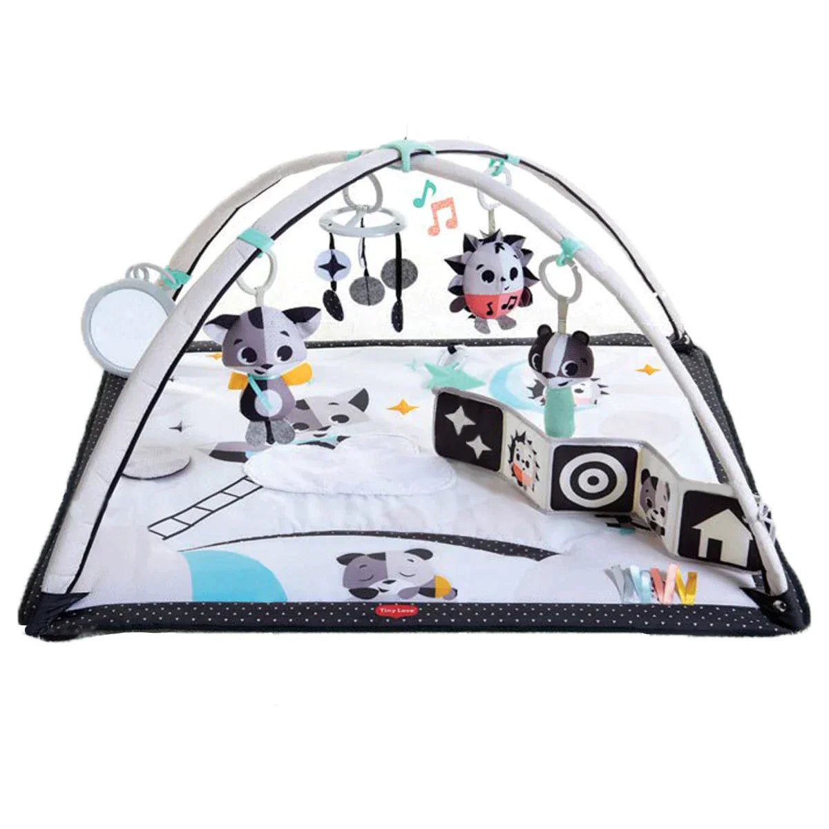 Black & White Luxe Developmental Gymin