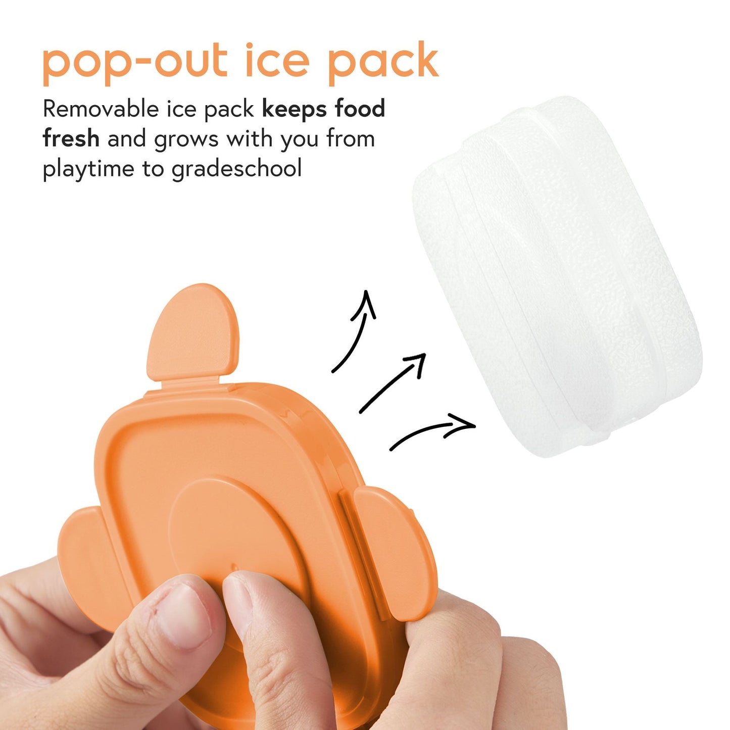 Storii Baby Food Storage Container