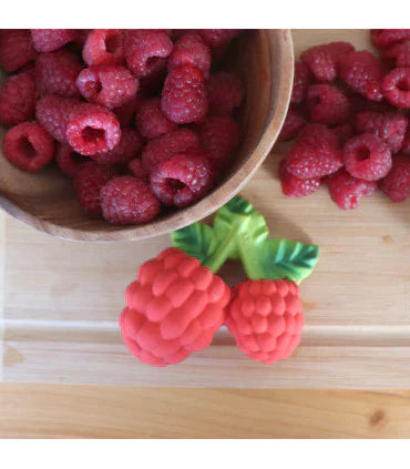 Valery the Raspberry