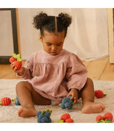 Valery the Raspberry