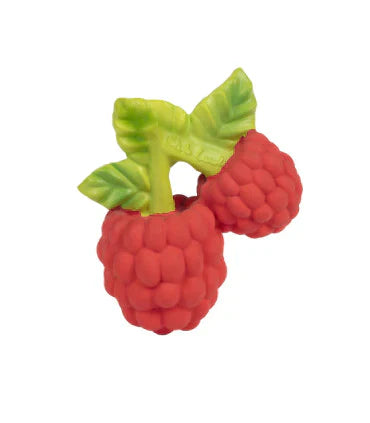 Valery the Raspberry