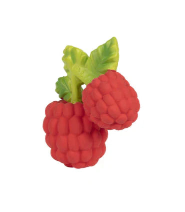 Valery the Raspberry