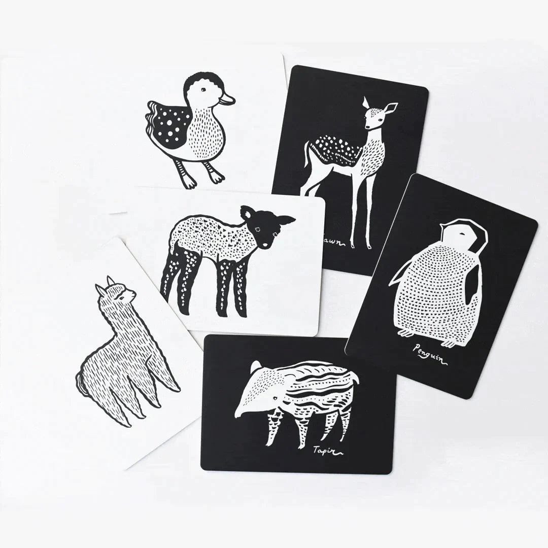 Art Cards - Baby Animals