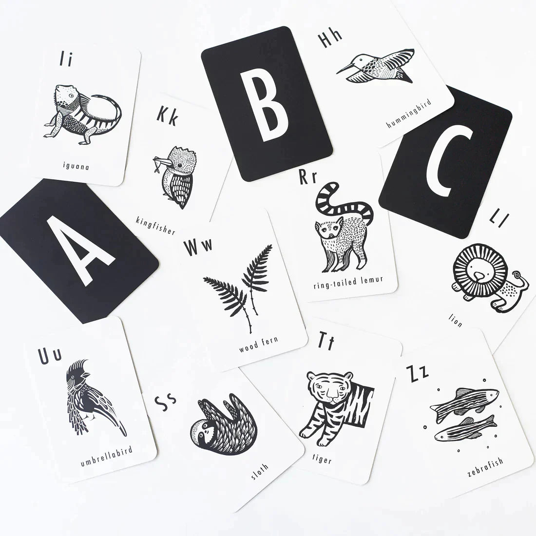 Art Cards - Jungle Alphabet Cards