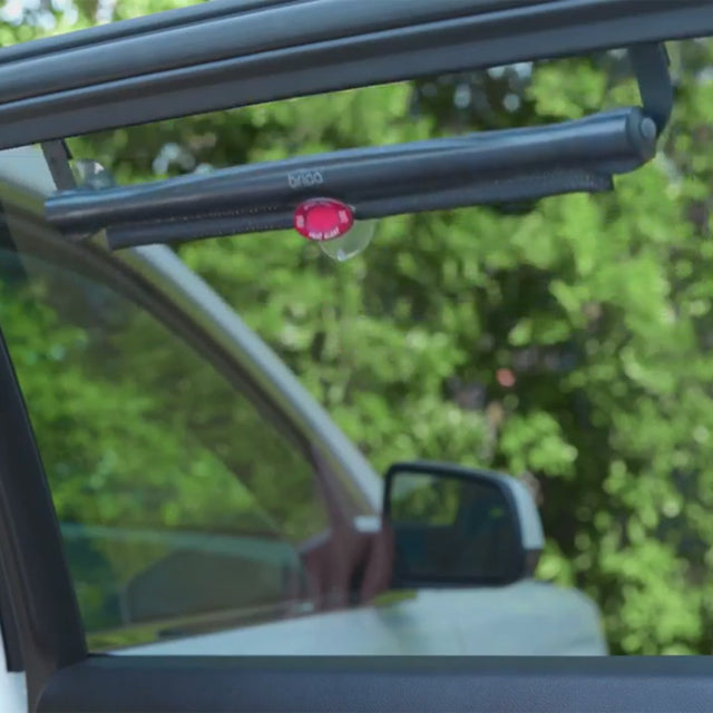 White Hot Sun Safety Shades 2pk