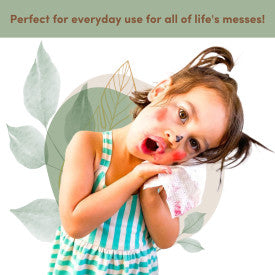 Terra Baby Wipes 70 Pk