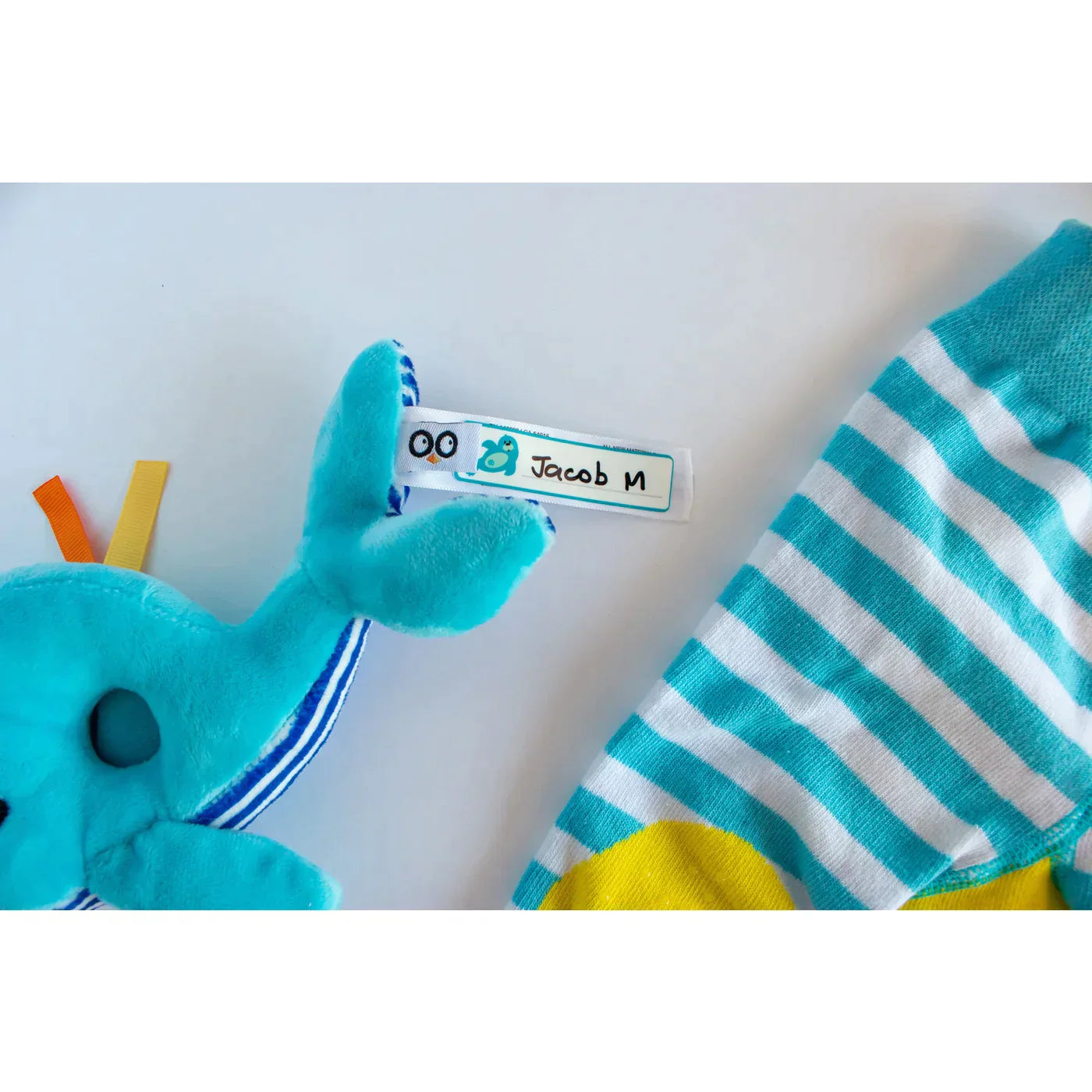 Multi Purpose Name Labels