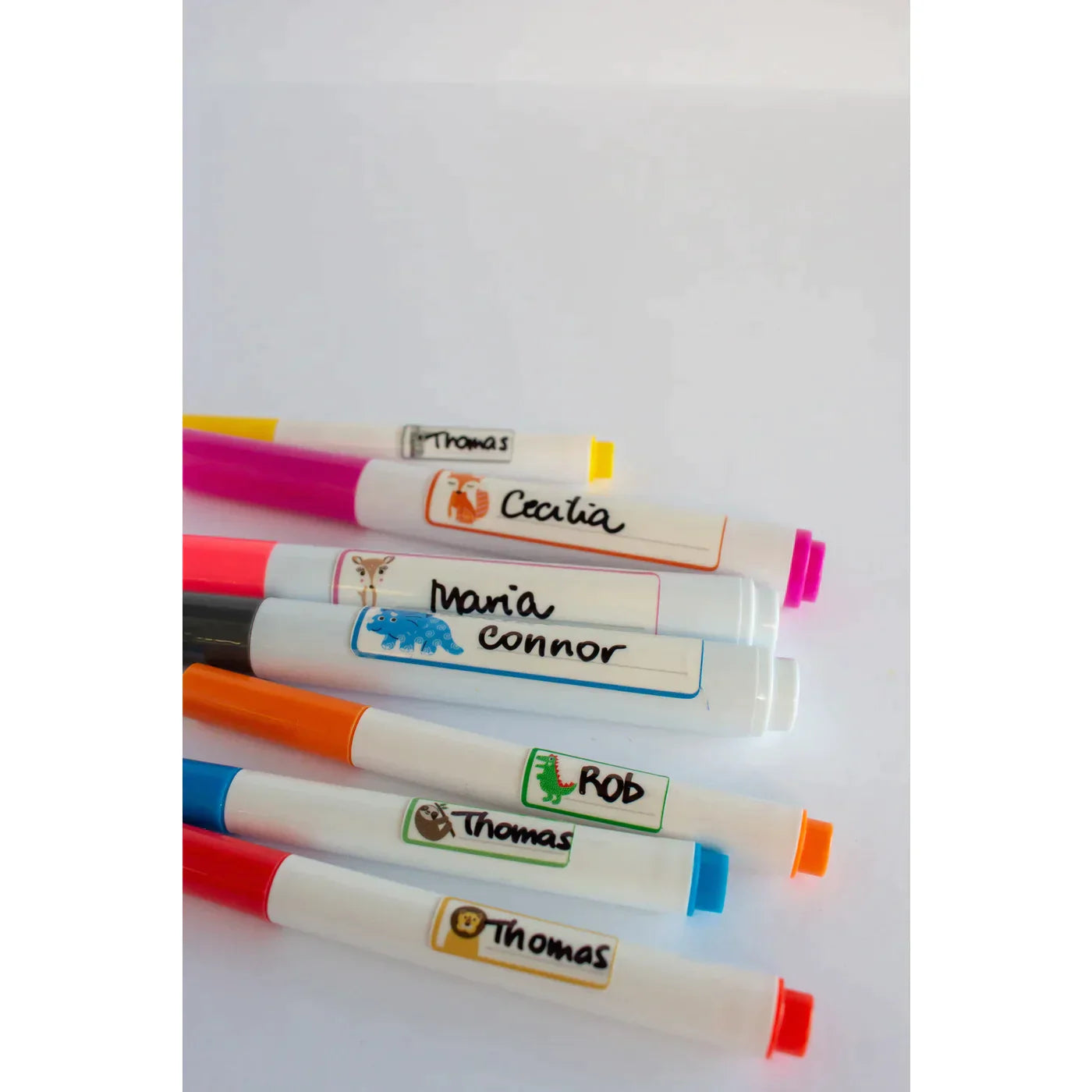 Multi Purpose Name Labels